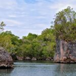 Los Haitises National Park: Boat Tour and Cave Visit - A Detailed Look at the Tour