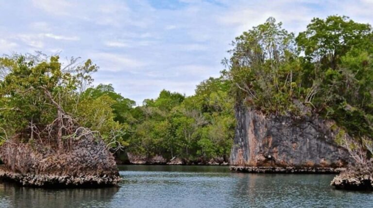 Los Haitises National Park: Boat Tour and Cave Visit - A Detailed Look at the Tour
