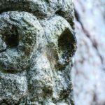 Los Haitises National Park private Kayaking 4 hours trip Mangroves and Cave - Who Is This Tour Best For?