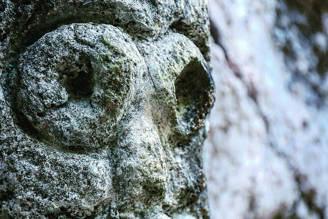 Los Haitises National Park private Kayaking 4 hours trip Mangroves and Cave - Who Is This Tour Best For?