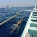 Lovina/BALI : SPECIAL Dolphin Watching,Swimming,Snorkeling - The Realities of the Tour