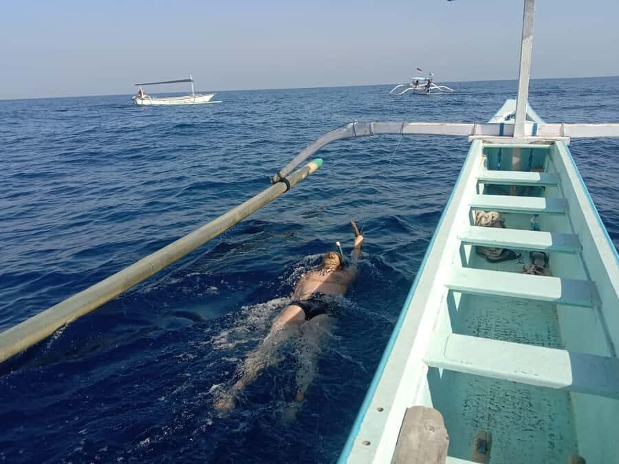 Lovina/BALI : SPECIAL Dolphin Watching,Swimming,Snorkeling - The Realities of the Tour