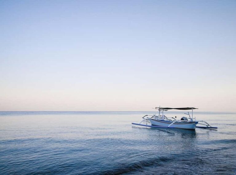 Lovina: Dolphin Tour with Sunrise View - Why This Tour Offers Value