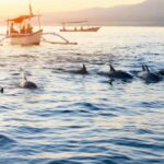 Lovina Package Tours ( Inclusive ) - The Itinerary in Detail: From Ubud to Waterfalls and Dolphins