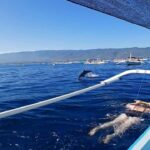 Lovina : SPECIAL FULL TRIP dolphin watch, swim, and snorkel - The Itinerary in Detail