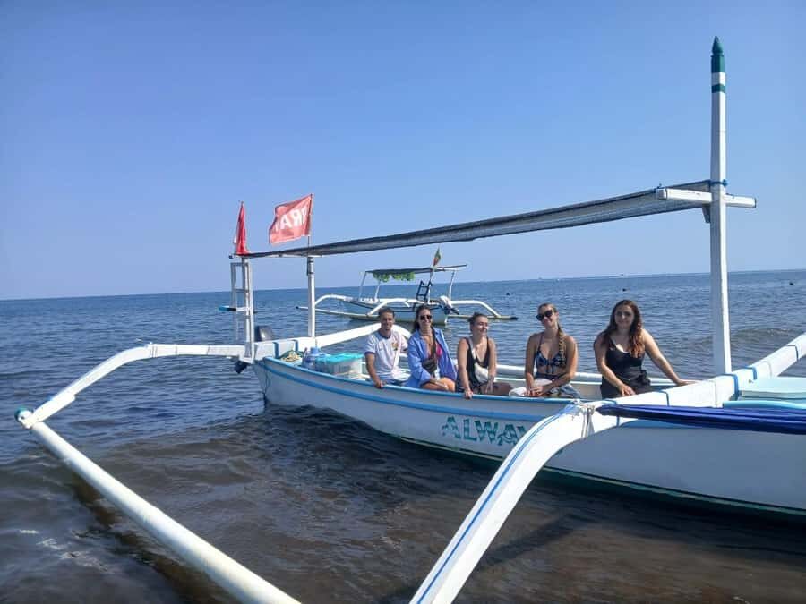 Lovina : SPECIAL FULL TRIP dolphin watch, swim, and snorkel - Who Would Love This Tour?