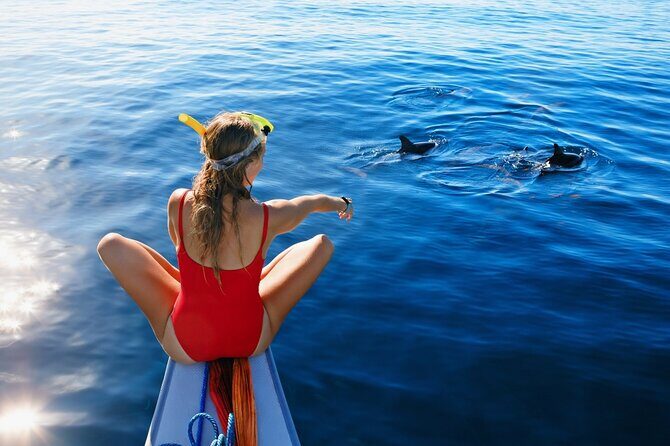 Lovina Watching Swimming with Dolphins and Snorkeling - Swimming with Dolphins: An Intimate Connection