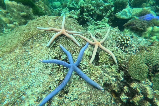 Low Season Lipe Island Snorkeling Adventure (June-Oct) - What the Tour Includes & What You Should Know