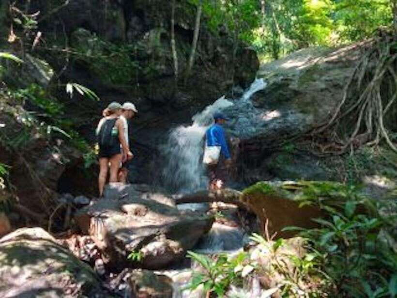 Luang Prabang: 3 Days Ethnic Forest Living - Mekong - Practical Details and Value