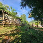 Luang Prabang: Authentic Lao Village & Farm Experience Day - Practical Details and Value