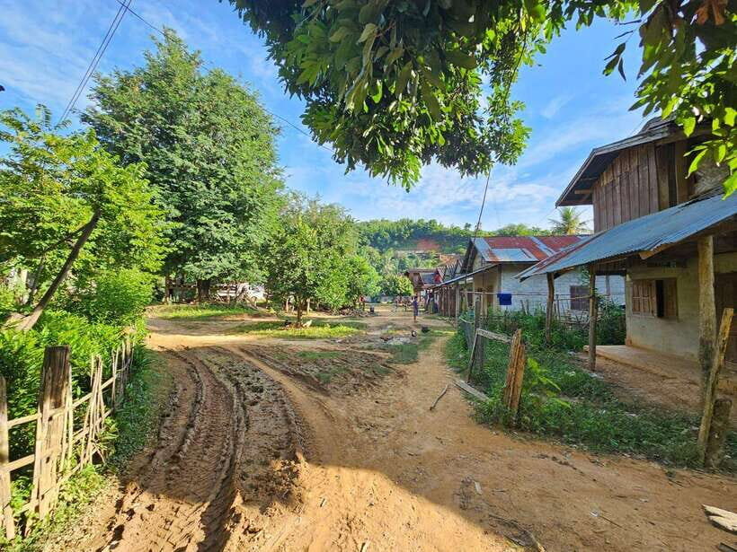 Luang Prabang: Authentic Lao Village & Farm Experience Day - The Farm and Its Activities