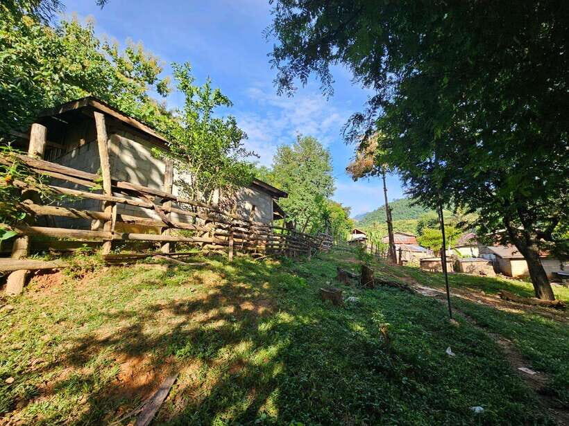 Luang Prabang: Authentic Lao Village & Farm Experience Day - Practical Details and Value