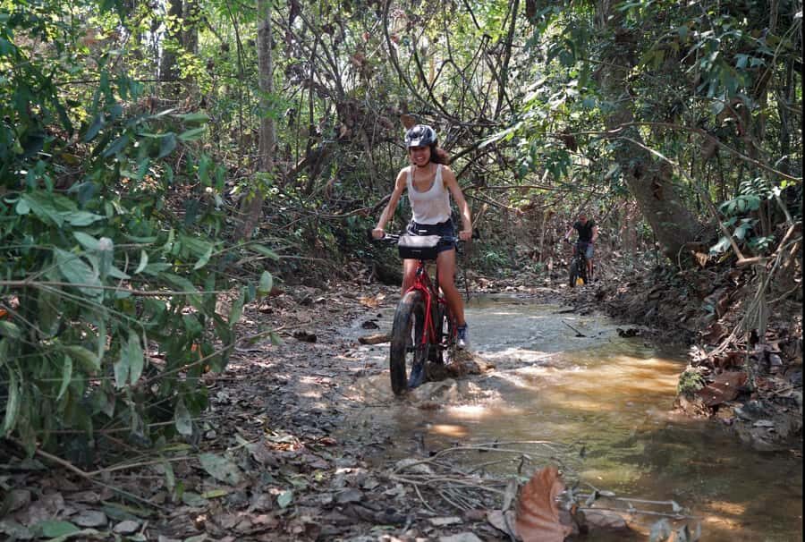 Luang Prabang: E-Mountainbike Tour with Waterfall & Lunch - Transportation, Group Size, and Overall Value