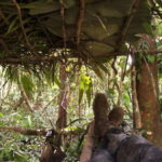 Luang Prabang: Forest Camping Experience with Cooking Class - What’s Included and What You Should Know