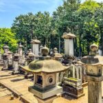 Lucky Cats Temple & Old Tokyo Yanaka 1/2-Day Walking Private Tour - The Experience: What Sets It Apart
