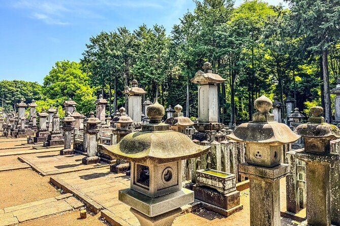 Lucky Cats Temple & Old Tokyo Yanaka 1/2-Day Walking Private Tour - The Experience: What Sets It Apart