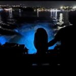 Luminous Lagoon 5 in 1 Experiences - Why This Tour Works for the Right Travelers