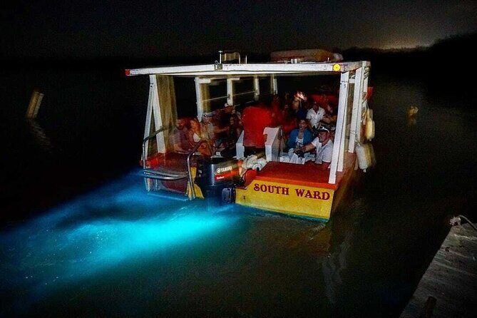 Luminous Lagoon Glow in the Dark Boat Tour from Montego Bay - What to Expect from the Tour  