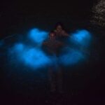Luminous Lagoon Night Tour - Who Will Love This Tour?