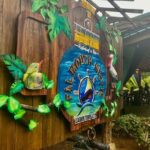 Luminous Lagoon & River Tubing Falmouth from Montego Bay/Falmouth - What Makes This Tour Stand Out