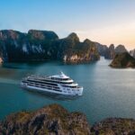 Luna Cruise: A Premium Luxury Day Cruise from Port to Halong Bay - Practical Details: What to Keep in Mind