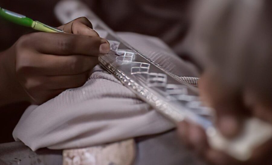 Luxury Boat ride, Havelis, Heritage Walk & High Tea - What Makes This Tour Stand Out?