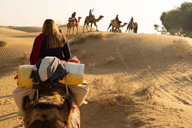 Luxury camping with cultural program in Thar Desert of Jaisalmer - What’s Included and What’s Not
