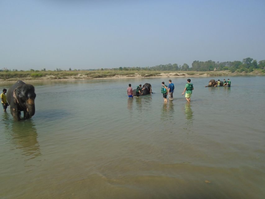 Luxury Chitwan Jungle Safari Package (2Nights/3Days) Resort - What Makes This Safari Special?