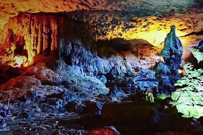 Luxury Dolphin Cruise in Ha Long Bay Buffet Lunch, Pool & Party - Practical Insights