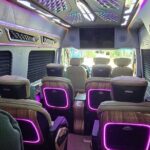 Luxury Limousine Transfer in Da Nang - Authentic Experiences from Travelers