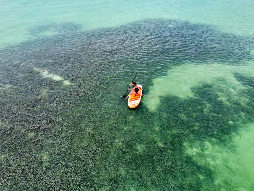 Luxury Mini Yacht Private Cruise in Cotubanamá National Park - Deep Dive into the Itinerary