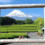 Luxury Mt. Fuji Day Trip by Shinkansen + Private Car - How the Day Unfolds