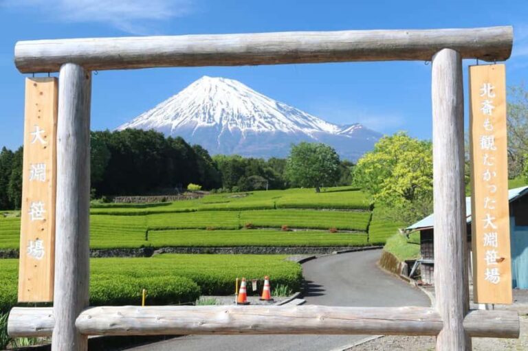 Luxury Mt. Fuji Day Trip by Shinkansen + Private Car - How the Day Unfolds