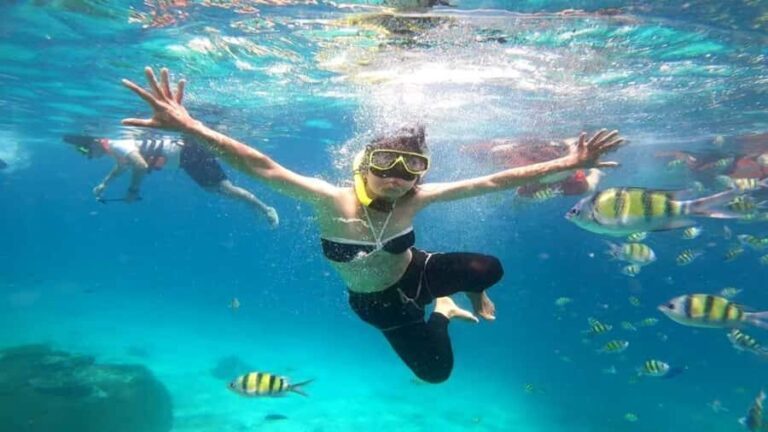 Luxury Private Charter to Coral Island Full Day Trip - What Makes This Tour Special?