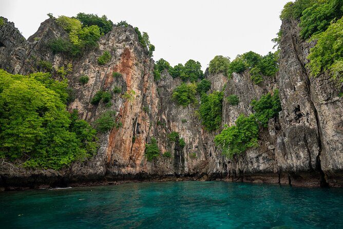 Luxury Private Speed Boat Charter with Coral Delight - Who Should Consider This Tour?