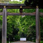 Luxury Private Tokyo Tour - Practical Details and Travel Tips