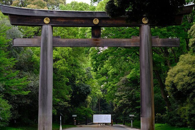 Luxury Private Tokyo Tour - Practical Details and Travel Tips