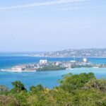 Luxury Suburban Private Airport Transfer with Chauffeur - What to Expect on Your Journey