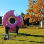 Lyttelton: Shore Excursion, Castle Hill & Inland Canterbury - Transportation, Timing, and Comfort