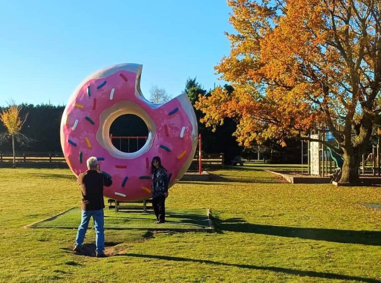 Lyttelton: Shore Excursion, Castle Hill & Inland Canterbury - Transportation, Timing, and Comfort