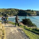 Lyttelton Shore Excursion - Guided Walking Tour and Picnic - Why This Tour Offers Great Value