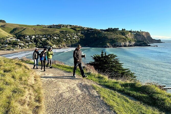 Lyttelton Shore Excursion - Guided Walking Tour and Picnic - Why This Tour Offers Great Value