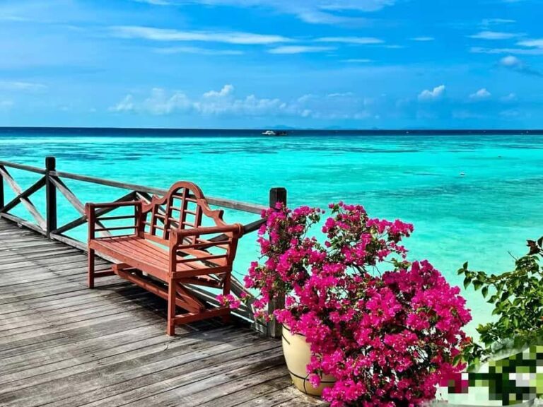 Mabul-Kapalai Islands Diving & Lunch &Photography Tour - What Sets This Tour Apart