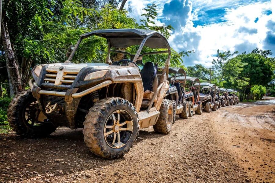 Macao Beach: Buggy Safari and Cenote Swimming with Pickup - Practical Details and What to Expect
