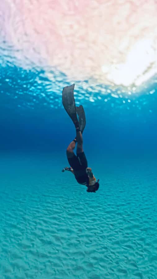 Mactan: Freediving and Island Hopping with lunch - The Itinerary in Detail