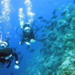 Mactan: PADI Open Water Diver Certification Course - What to Expect in the Course Itinerary