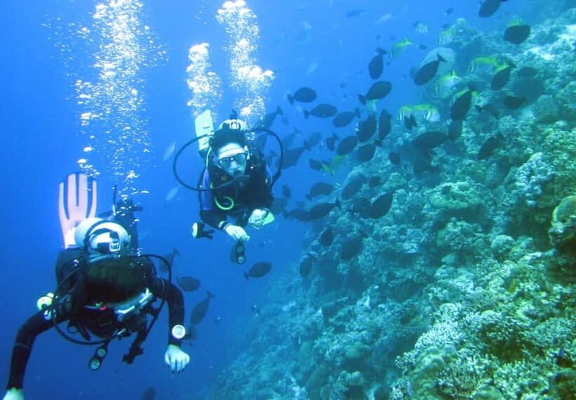 Mactan: PADI Open Water Diver Certification Course - What to Expect in the Course Itinerary