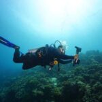 Mactan Sanctuary: Discover Scuba Diving, Island Hop, & Lunch - The Return Journey and Post-Dive Experience
