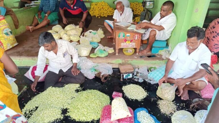 Madurai: Private Guided Day Tour Highlights & Hidden Gems - A Deep Dive into the Itinerary