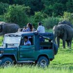 Maduru Oya Safari and Indigenous Village Day Trip from Pasikuda - The Safari Experience: What to Expect